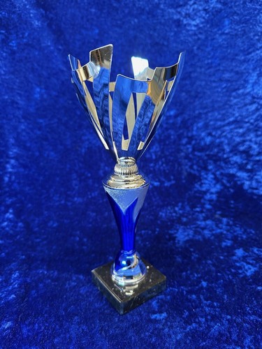 Blue silver cut out bowl - silver, cut-out