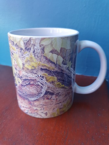 Woodcock mug woodcocks - , snipe