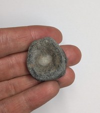 An Ichthyosaur Vertebra From Charmouth, Dorset.