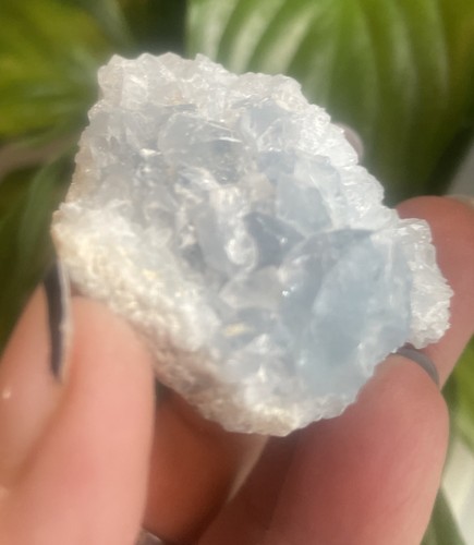 Celestite small cluster geode - celestite,