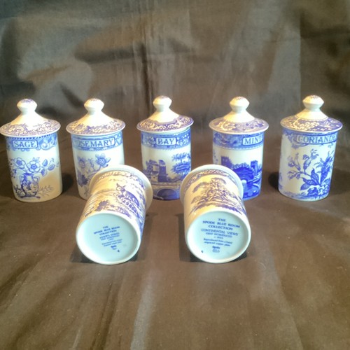 The spode blue room collection - blue,