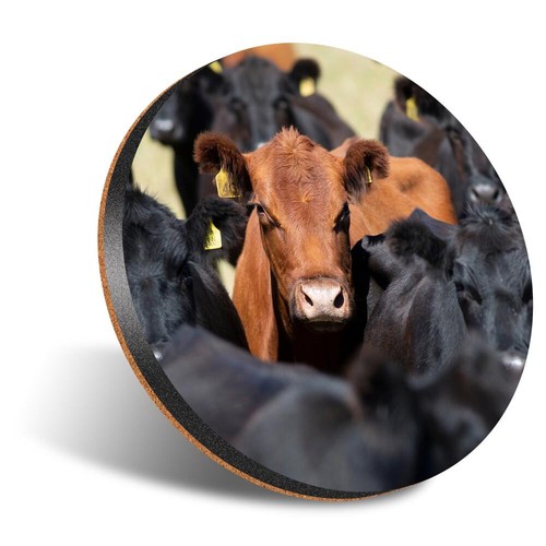 Round coaster 12cm aberdeen - coaster,