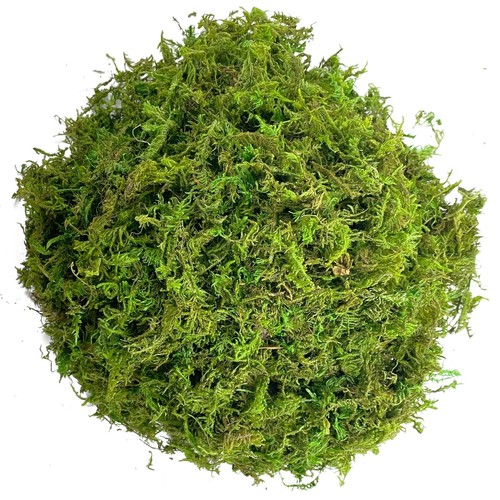 Artificial moss simulation - artificial,