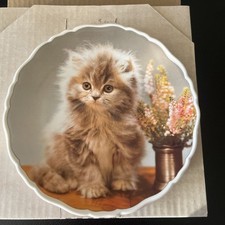 Royal Albert Bone China Kitten