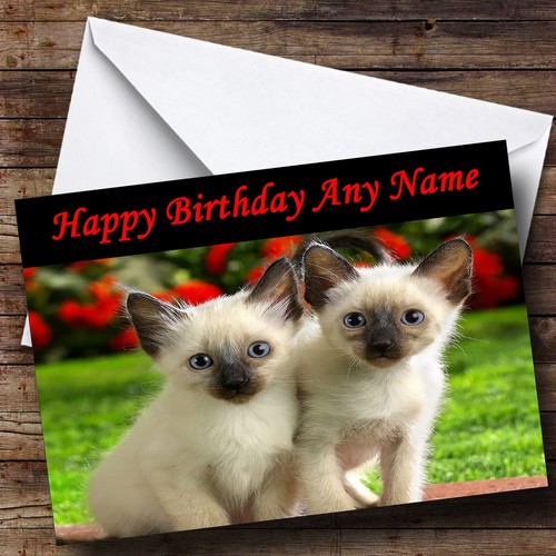 Beautiful little kittens - little,