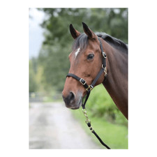Shires Control Headcollar -
