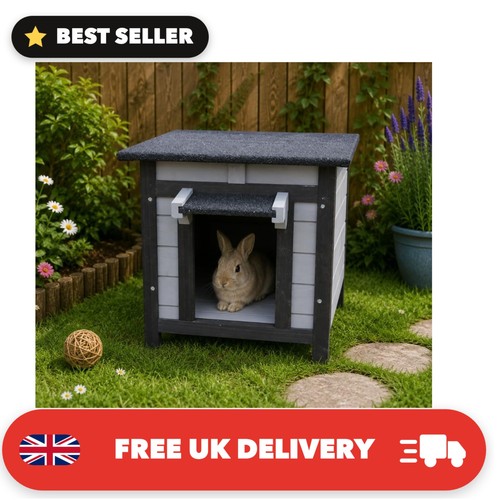 Bunny business rabbit - bunny, pig/cat