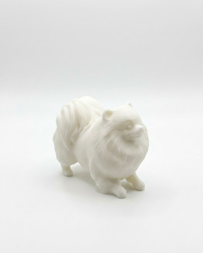 Cute white pomeranian - cute,