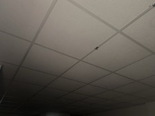 Suspended ceiling with white grid and Academy Diploma white tiles