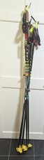 LEKI Aluskate Cross-Country Ski Poles.