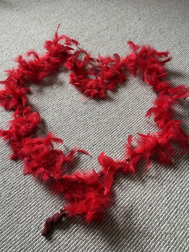 Red feather boa - boa, mtr