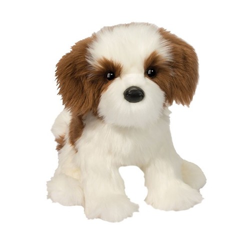 Douglas farren shih - shih, cm