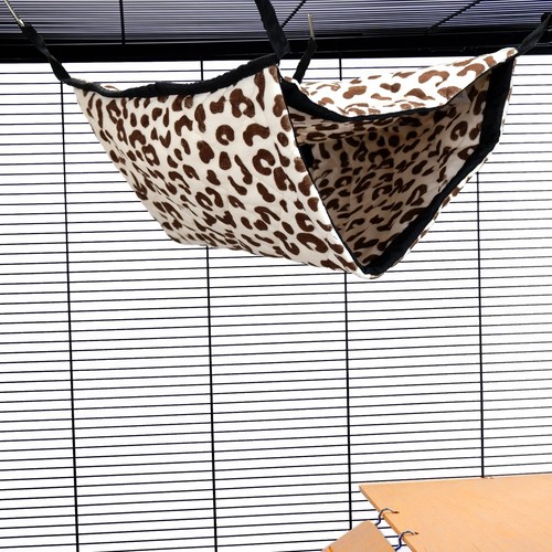 Ferret chinchilla hammock - ferret,