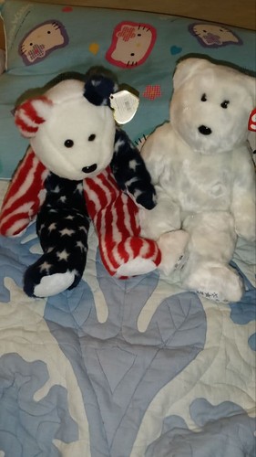 bear