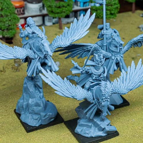 Gallia knights pegasus and - knights, on