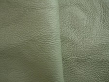 Pale green coated pigskin - pale,