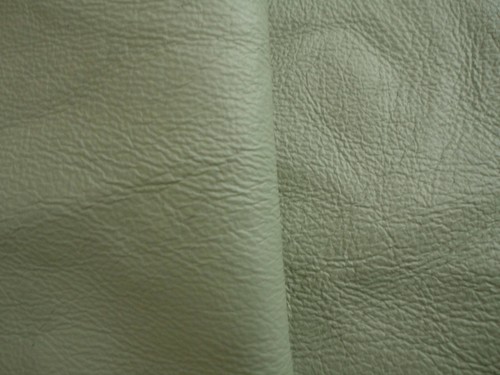 Pale green coated - pale,