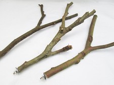 3 x 40cm Y SHAPE Natural Branches Bark Wood Wooden Perches with Cage Fitting