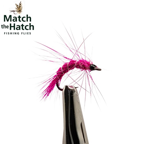 Pack pink shrimp - 6,
