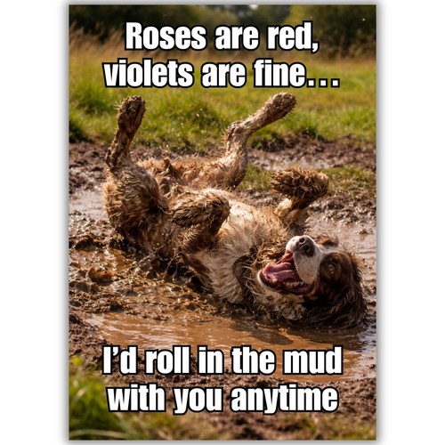 Funny valentines card springer - funny,