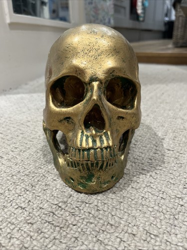 Human skull replica full size - human,