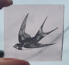 Stained Glass Swallow bird