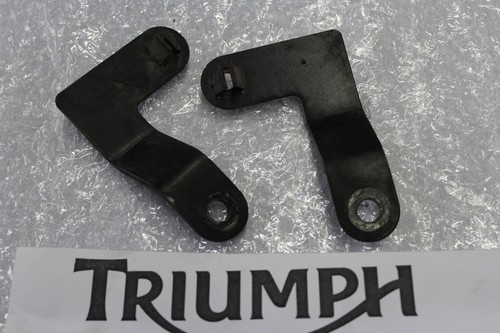 Triumph sprint 955i - triumph,