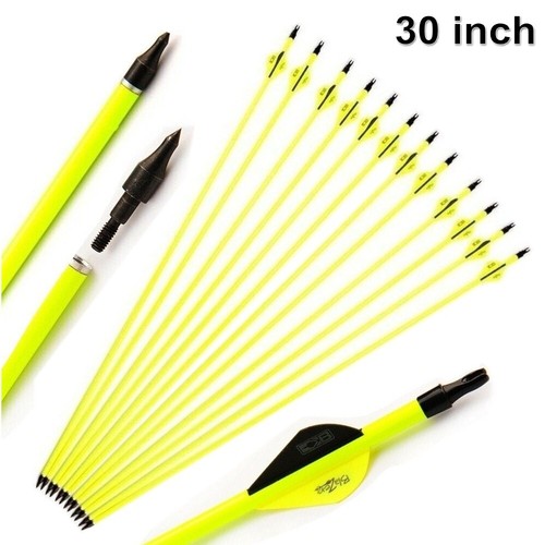 12x archery carbon arrows - carbon,