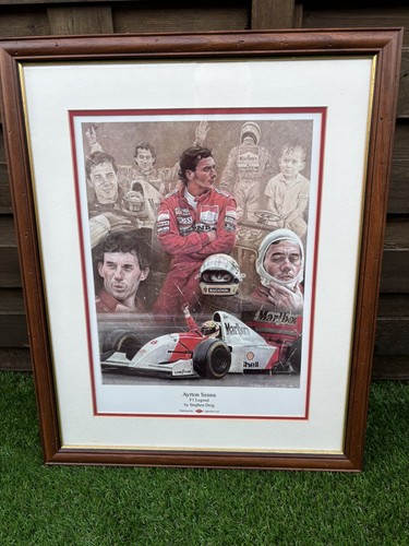 Steve stephen doig - doig, ayrton