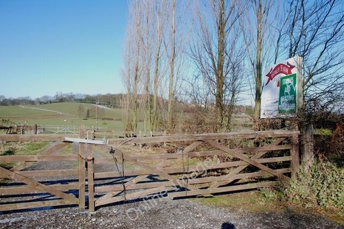 Photo 6x4 grazing land - photo,