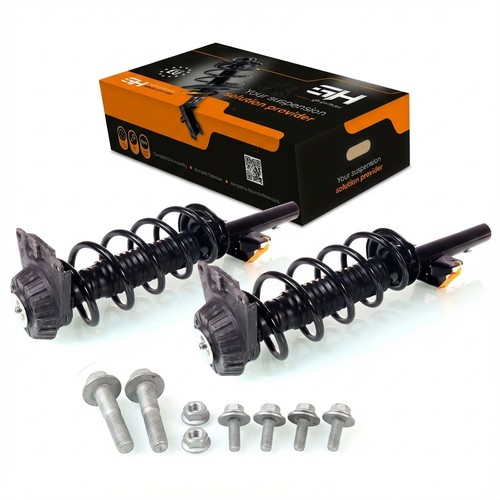 Complete struts assembly - 2x,