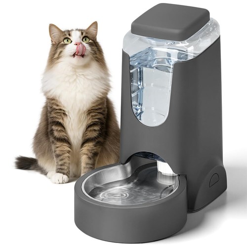 Gallon automatic cat feeder - cat,
