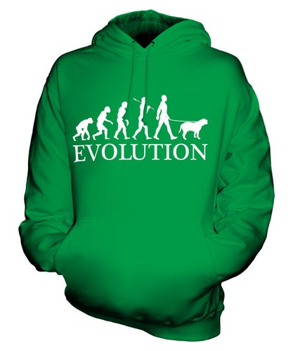 Dogue bordeaux evolution of - dogue,