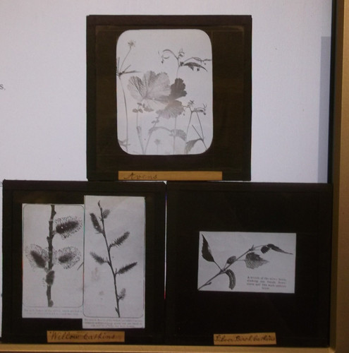 Magic lantern slides - ,