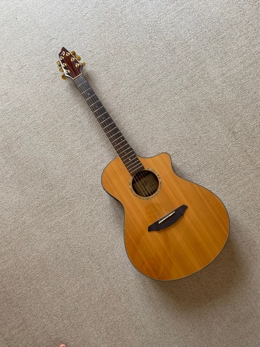 Breedlove atlas series ac25 - atlas,