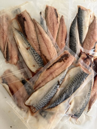 Packs cornish mackerel - of,