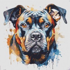 American Bully Puppy Dog