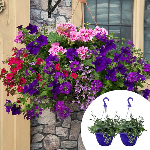 Pre planted hanging baskets - pre-planted,