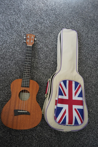 Kmise ukulele with gig bag - kmise,