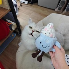 Jellycat Christmas Hot Chocolate: Amuseables Marshmallow BNWT RESERVED Dust Bag