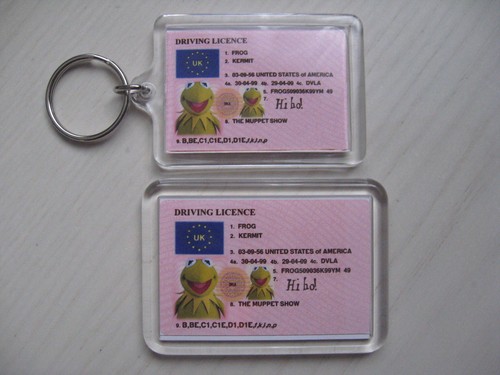 Kermit muppet keyring - keyring, or