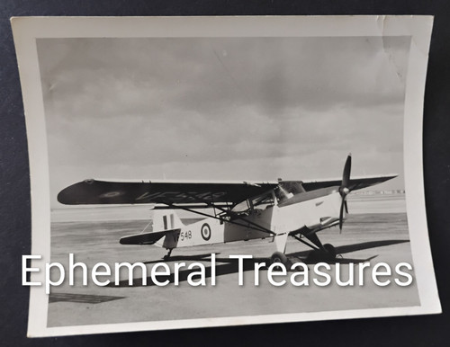 Auster aop original - auster,