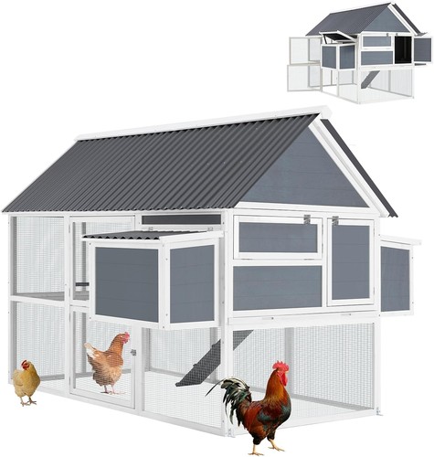 Large multi level chicken - multi-level,