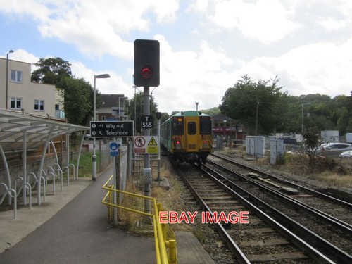 Photo southern emu 455828 - photo,