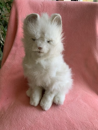 Furreal friends playful cat - my,
