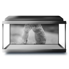 Fish Tank Background 90x45cm