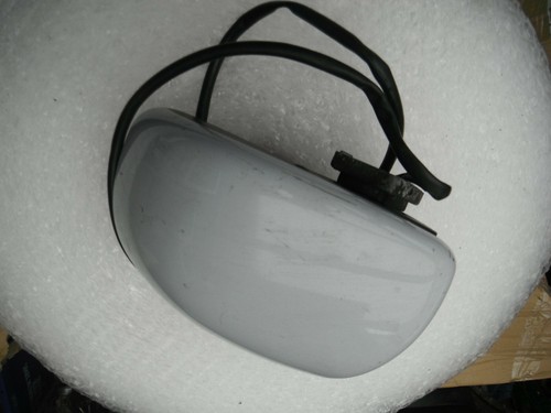 Beetle left side - vw, wing