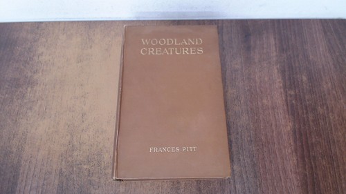 Woodland creatures being - woodland,