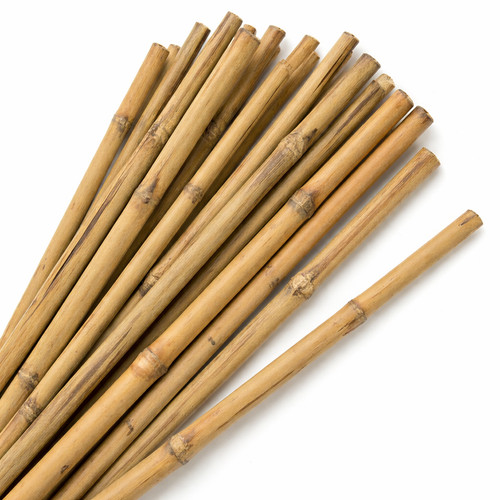 Bamboo canes 6ft garden - bamboo,