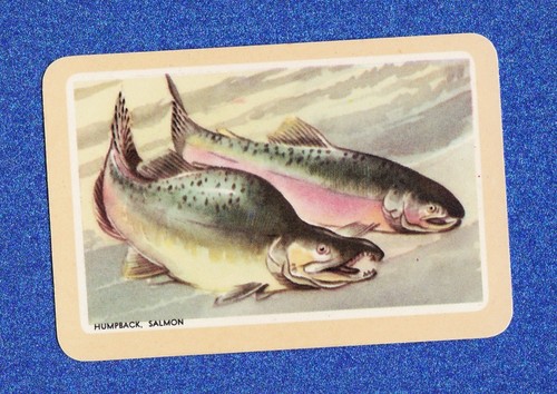 Vintage woolworths fish - woolworths, swap